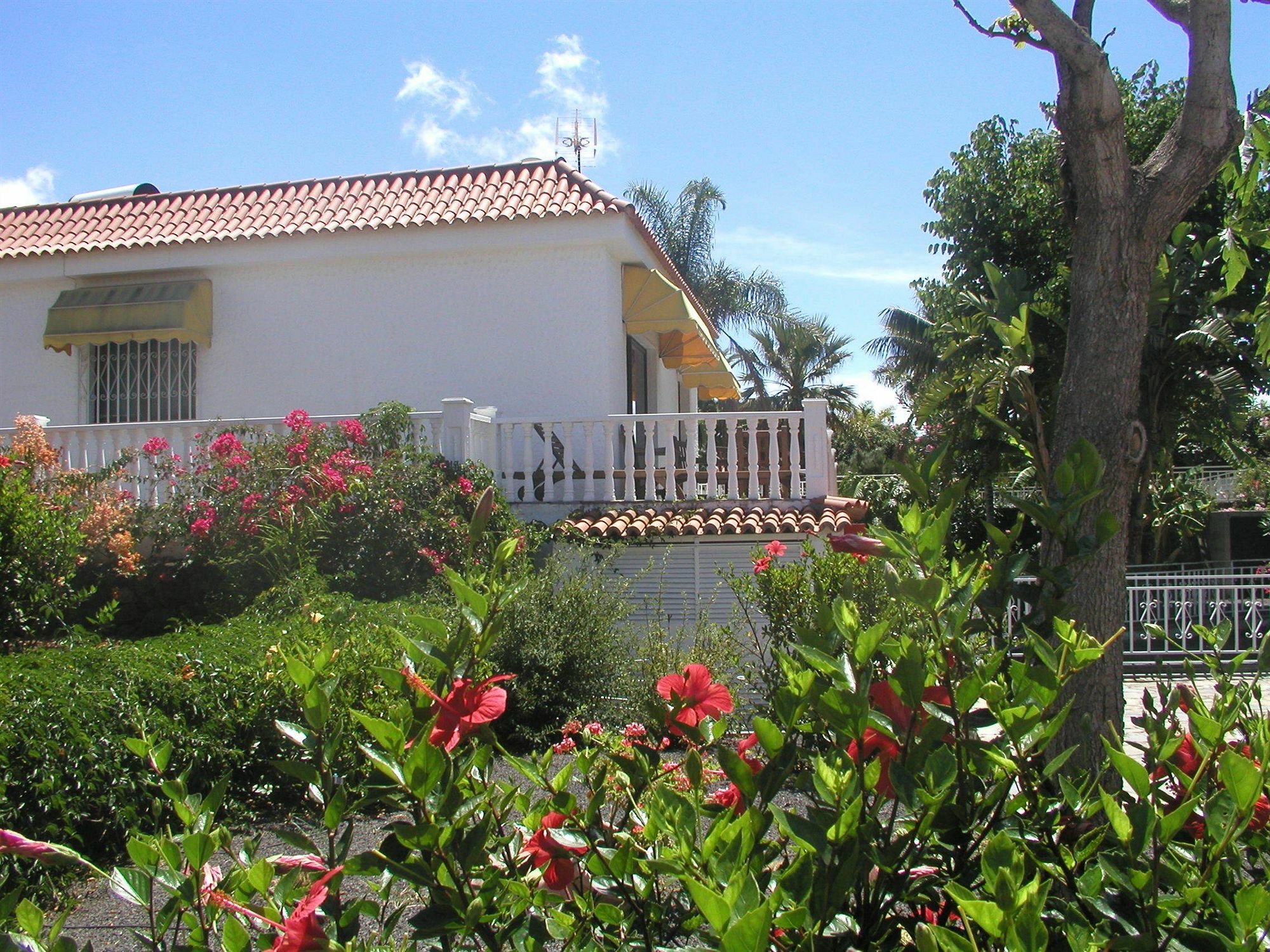 Residencial Las Norias Тодоке Экстерьер фото